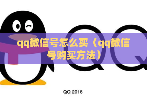 qq微信号怎么买（qq微信号购买方法）